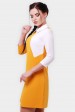 Двухцветное платье с воротником. PL-1550C (Платья, #10647)