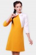 Двухцветное платье с воротником. PL-1550C (Платья, #10648)